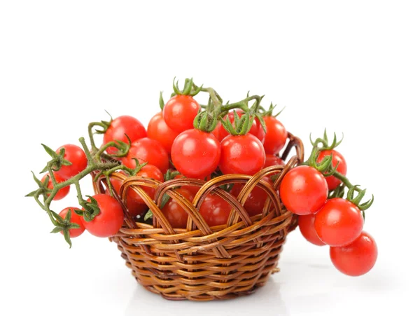 Tomates cherry aislados —  Fotos de Stock