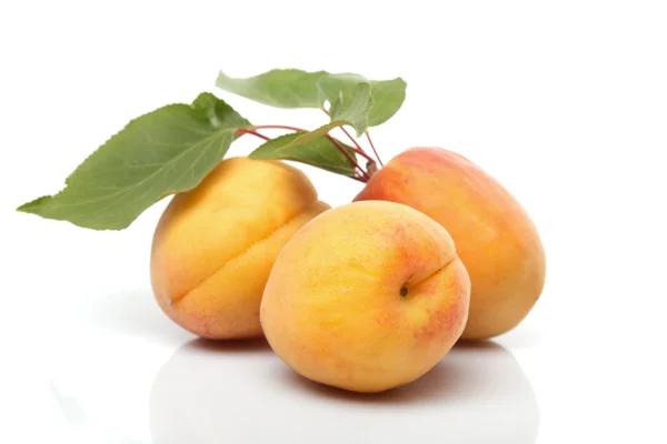 Apricots isolated — Stock Photo, Image