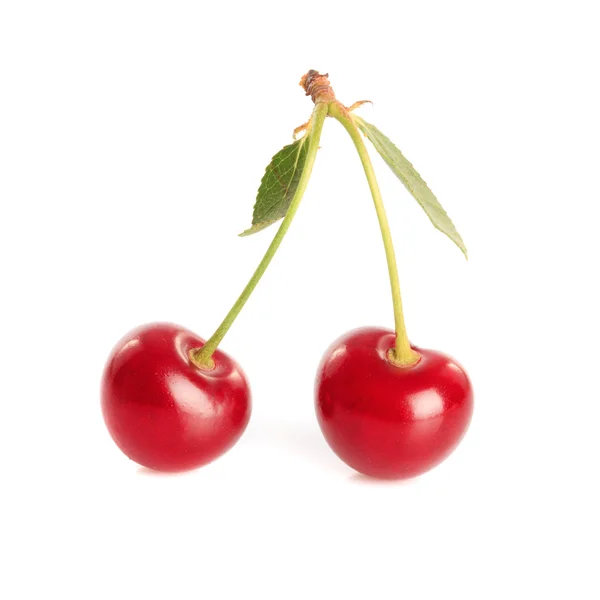 Cherry çifti — Stok fotoğraf
