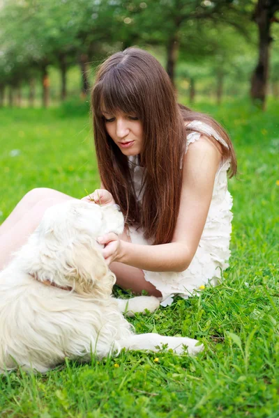 Girl and retriever in park — Stock Photo, Image