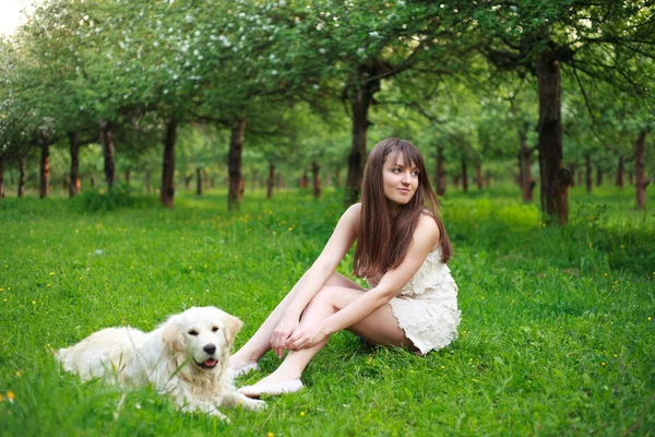 Girl and retriever in park — Stock Photo, Image
