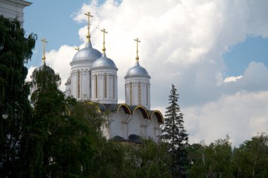 Moscow city, Rusya Federasyonu. Kremlin