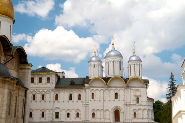 Moscow city, Rusya Federasyonu. Kremlin