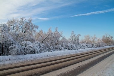 Kış road forest yakınındaki