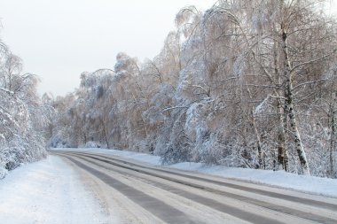 Kış road forest yakınındaki