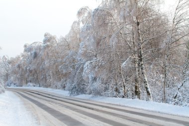 Kış road forest yakınındaki