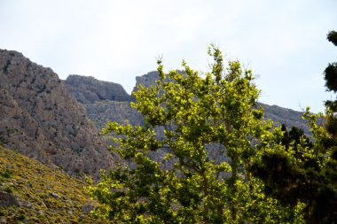 High mountain and Rocks in Greece Rhodes clipart