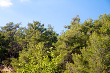 yüksek dağ ve kayalar Yunanistan Rodos