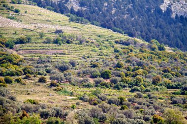 yüksek dağ ve kayalar Yunanistan Rodos