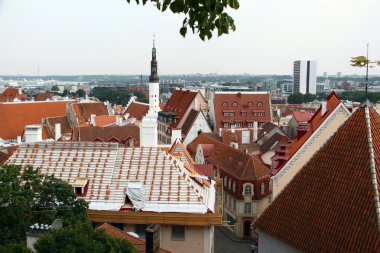 eski şehir, tallinn üzerinde Estonya göster