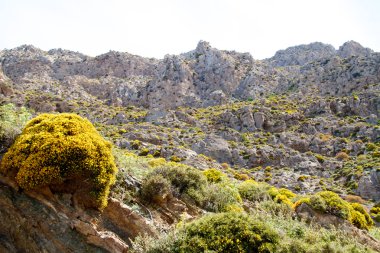 yüksek dağ ve kayalar Yunanistan Rodos