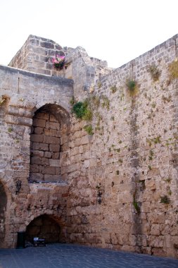 Yunanistan 'ın Ortaçağ kenti Rodos