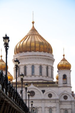 Katedral Mesih'in savior, Moskova 2011, Rusya Federasyonu