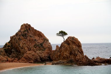 mar menuda beach tossa de Mar (costa brava, İspanya)