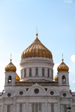 Katedral Mesih'in savior, Moskova 2011, Rusya Federasyonu