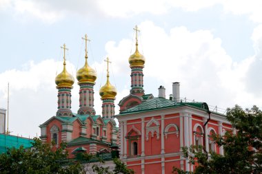 Moscow city, Rusya Federasyonu. Kremlin