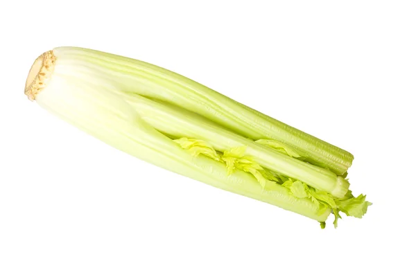 Čerstvý zelený celer zelenina — Stock fotografie