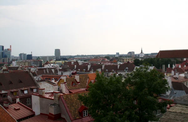 Uitzicht op de oude stad van tallinn, Estland — Stockfoto