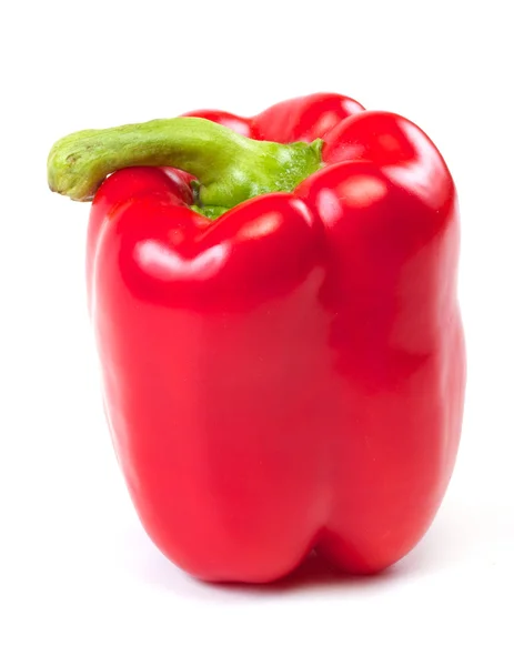 Red sweet pepper on a white background — Stock Photo, Image
