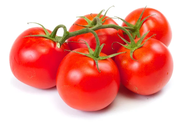 Branch of tomato isolated over white background — Stock Photo, Image