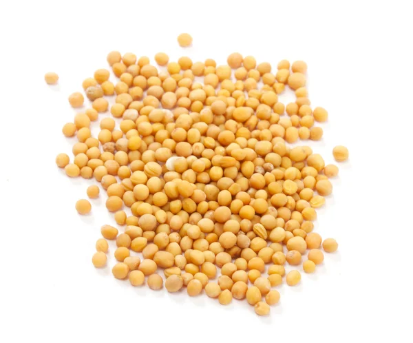 在白色背景上分离的黄色芥末种子 — 图库照片