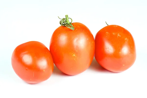 Tres hermosos tomates frescos — Foto de Stock