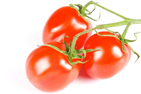 Tomates cerises isolées — Photo
