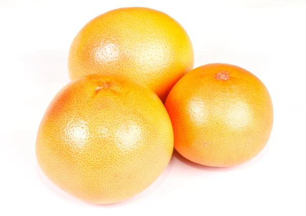Toranja laranja madura isolada — Fotografia de Stock