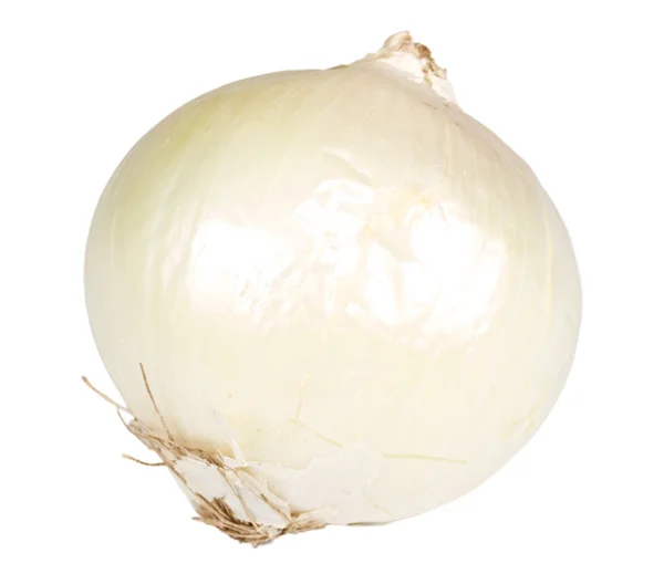 Cebolla madura sobre un blanco — Foto de Stock