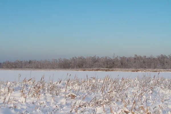 湖上的冬天 — 图库照片