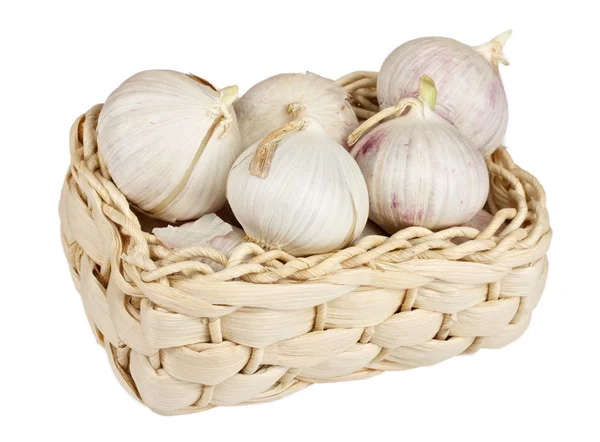 stock image Several garlic onions in a basket isolated