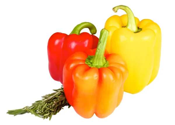新鲜和多汁的蔬菜 — 图库照片