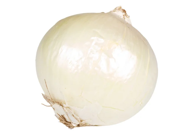 Cebolla madura sobre un blanco —  Fotos de Stock