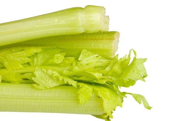 新鲜绿色芹菜蔬菜 — 图库照片