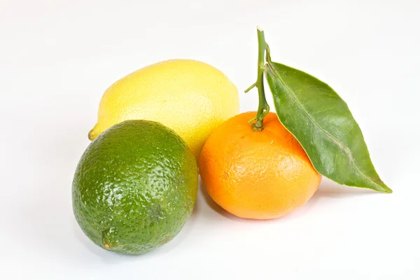 Färska saftig grapefrukt — Stockfoto