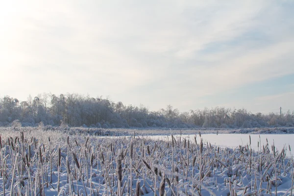 Invierno en el lago —  Fotos de Stock