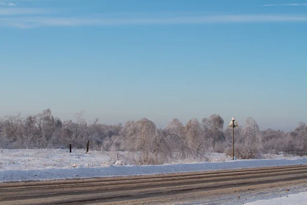 Зимняя дорога возле леса — стоковое фото