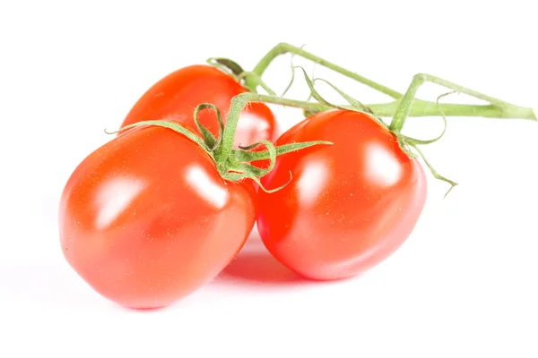 Изолированные помидоры — стоковое фото