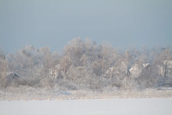 Зима на озері — стокове фото