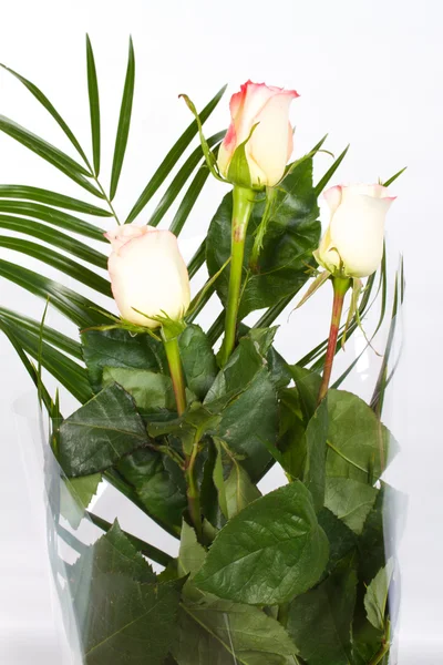 stock image Close-up shot of roses