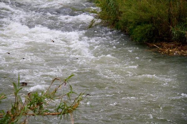 큰 바위와 바위 안개와 함께 녹색 흐르는 강 및 — 스톡 사진