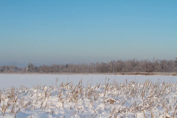 Zima na jezeře — Stock fotografie