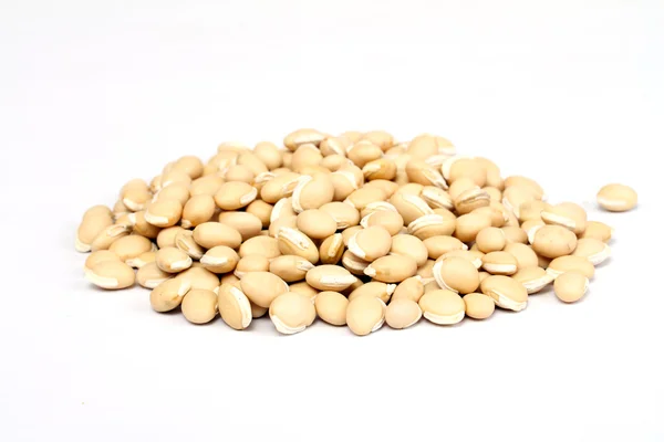 Pile soybean on background — Stock Photo, Image