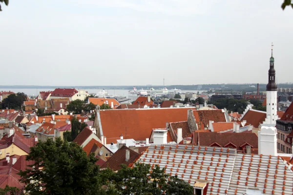 View on old city of Tallinn, Estonia — Stock Photo, Image