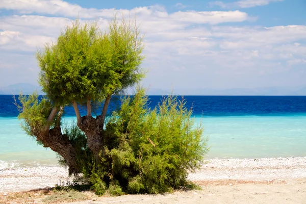 Picturesque beach on Rhodes — Stock Photo, Image