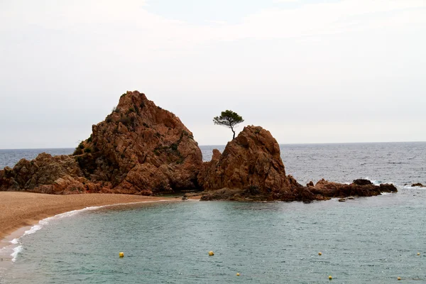 stock image Mar Menuda beach in Tossa de Mar (Costa Brava, Spain)