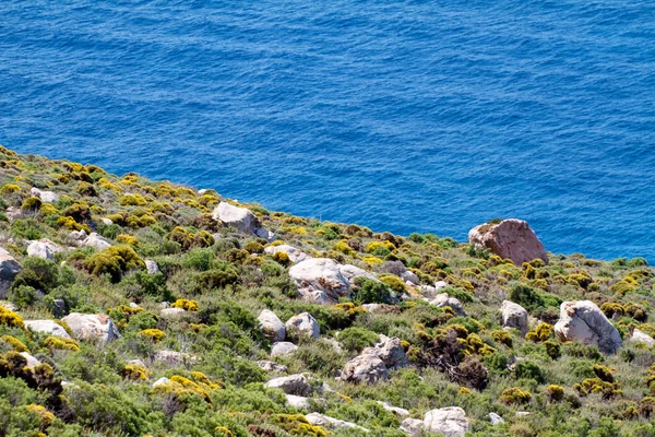 Øya og havet, Hellas. – stockfoto