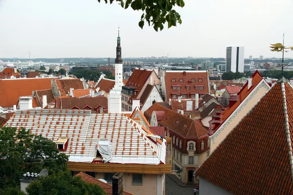 Visa på gamla staden i tallinn, Estland — Stockfoto