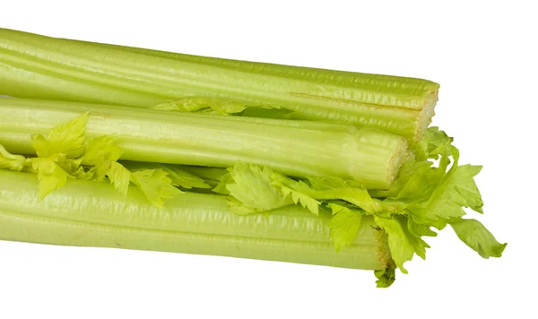신선한 녹색 셀러리 야채 — 스톡 사진