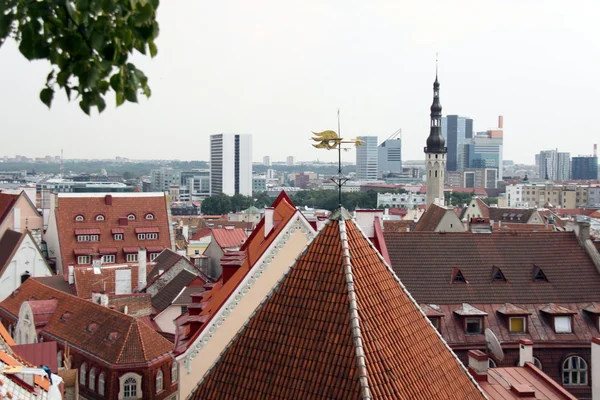 Vista del casco antiguo de Tallin, Estonia —  Fotos de Stock